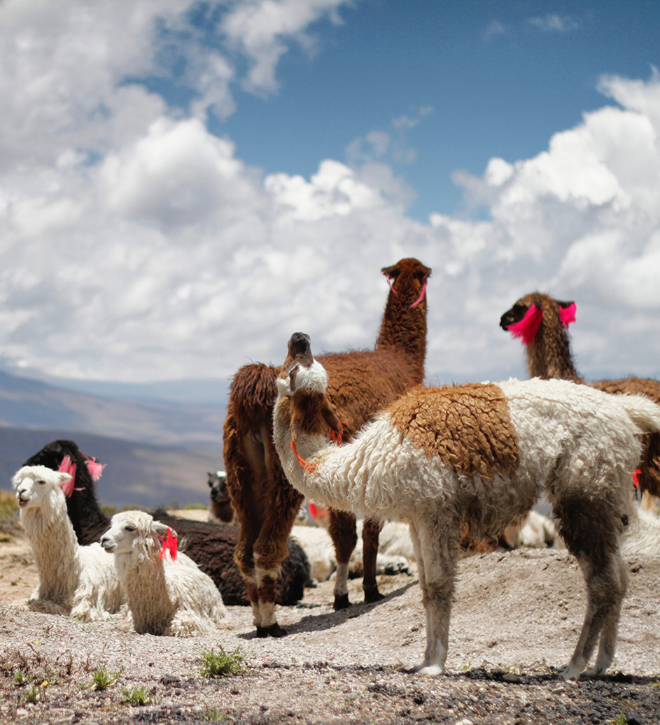 Peru